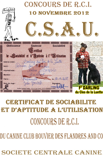 DARLING du Clos de la Luette &copy;